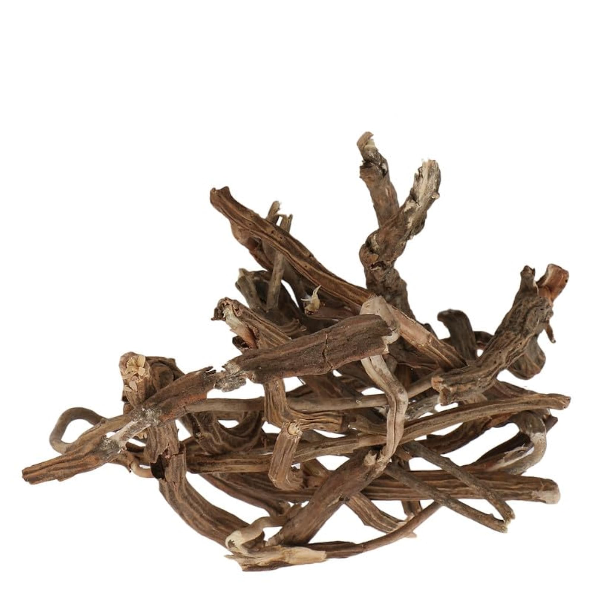 CAREQUE Ushva - Smilax Medica 250 Gram